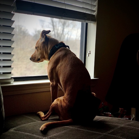 🎲-🎲-🎲 - Picture 2 of 5